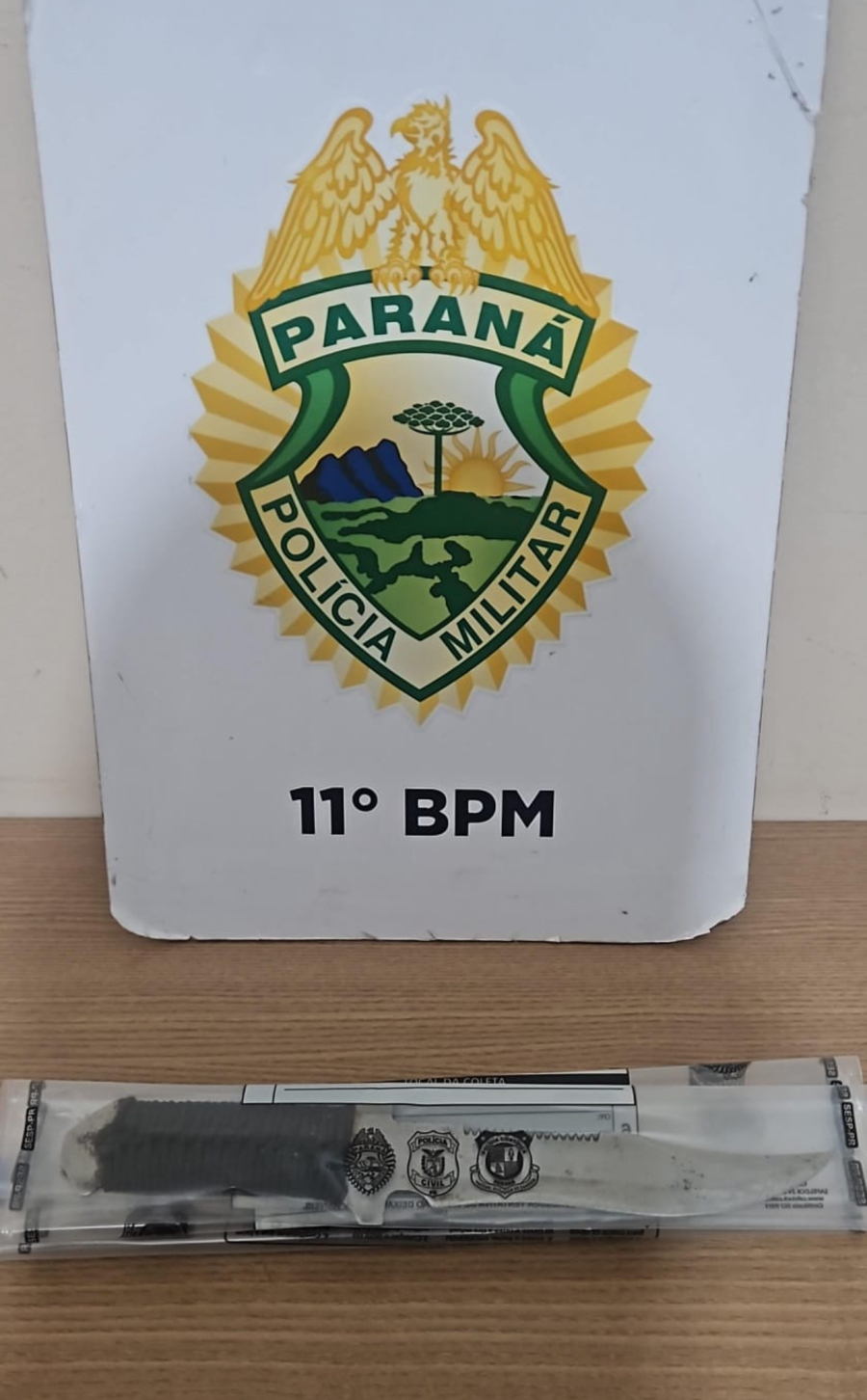 Homem é preso após ameaçar e agredir a própria mãe em Campo Mourão